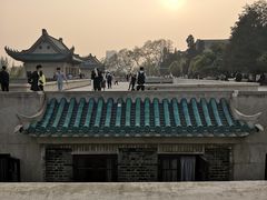 -武汉大学-樱园