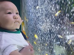 -常州海昌海洋探索馆