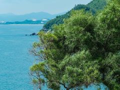 -蜜悦·波西塔诺悬崖海景餐厅