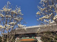 -盛世南宫影视城(北普陀影视城)