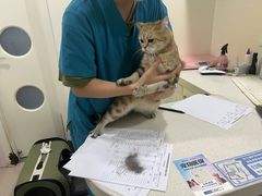 -佳雯宠物医院·皮肤科·内外科(春晓路分院)