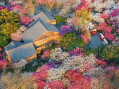 -西溪国家湿地公园