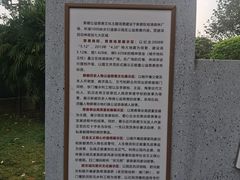 -桂湖森林公园