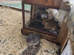 -HERRE·FARM 赫尔露营农场·团建聚会包场