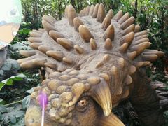 -中华恐龙园