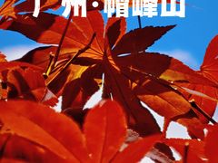 -广州市帽峰山景区