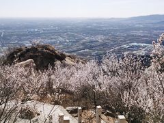 -北京凤凰岭
