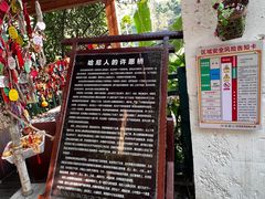 -西双版纳原始森林公园
