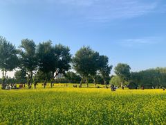 -长白岛森林公园