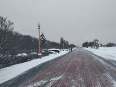 -莫斯科大学