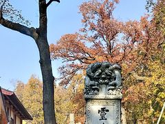 -灵谷景区