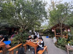 -青城甲(青城山店)