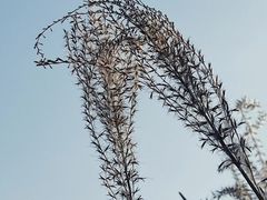 -沕沕水生态风景区