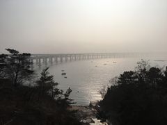 -星海湾跨海大桥