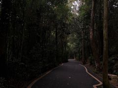 -滴水岩森林公园