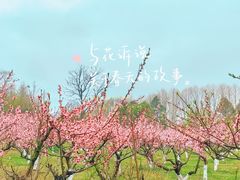 -观山湖公园