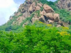-灵溪风景区