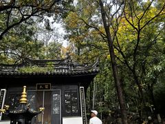 -石老人观光园