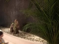 -天津水游城丽筠酒店