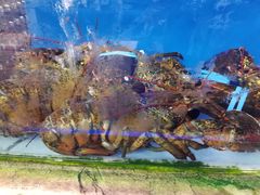 -青石桥市场北1-27号