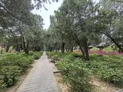 -北京市劳动人民文化宫(太庙)