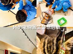 -御宝贝24h宠物医院·转诊中心·CT核磁血透中心(厦门总院)