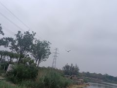 -大港湿地公园