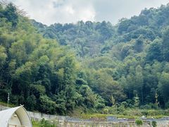 -江西阳明山国家森林公园