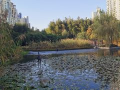 -苏州河梦清园环保主题公园