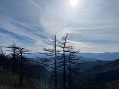 -朱雀国家森林公园