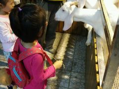 android_upload_pic-上海大自然野生昆虫馆