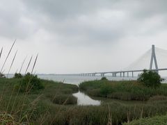 -芒洲湿地公园
