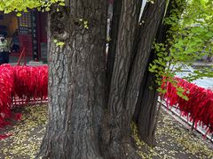 -红螺寺