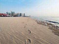 -金梦海湾浴场