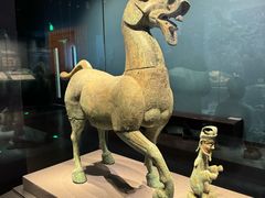 -广西壮族自治区博物馆