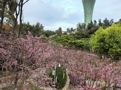 -狐尾山公园