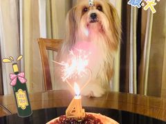 -Toris(LuOne凯德晶萃广场店)