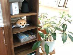-Onirii Coffee(长乐路店)