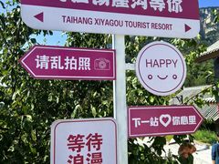 -王莽岭风景区