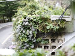 -树厨贵州菜(铜仁花果山店)