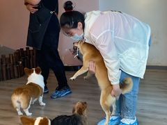 -浣熊柯尔鸭土拨鼠·电玩咖
