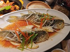 -前海沿·青岛菜(大拇指广场石老人店)