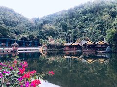 -西双版纳原始森林公园