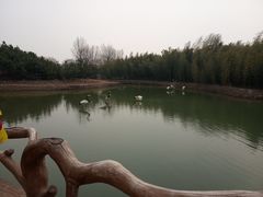 -兰陵国家农业公园