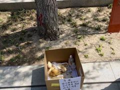 -亮马河大厦停车场