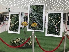 -深圳观澜格兰云天国际酒店