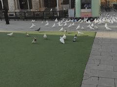 -华谊兄弟（长沙）电影小镇