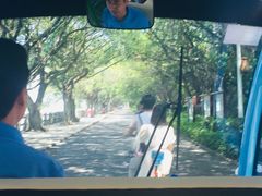 -大湾区中央湿地公园