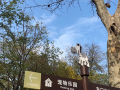 -合肥野生动物园
