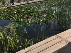 -永定河休闲森林公园